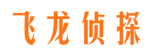 雨湖私人侦探